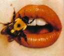 bouche